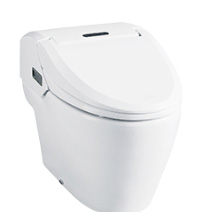 ��ü��/����Ʈ DST-650