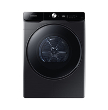 AI ������ 21kg ����ĳ��� (DV21DG8600BV)