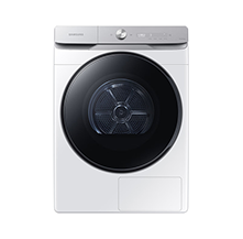AI ������ 21kg ȭ��Ʈ (DV21DG8600BW)