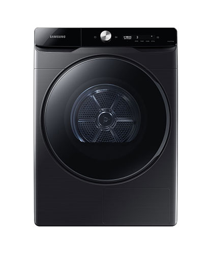 AI ������ 21kg ����ĳ��� (DV21DG8600BV)